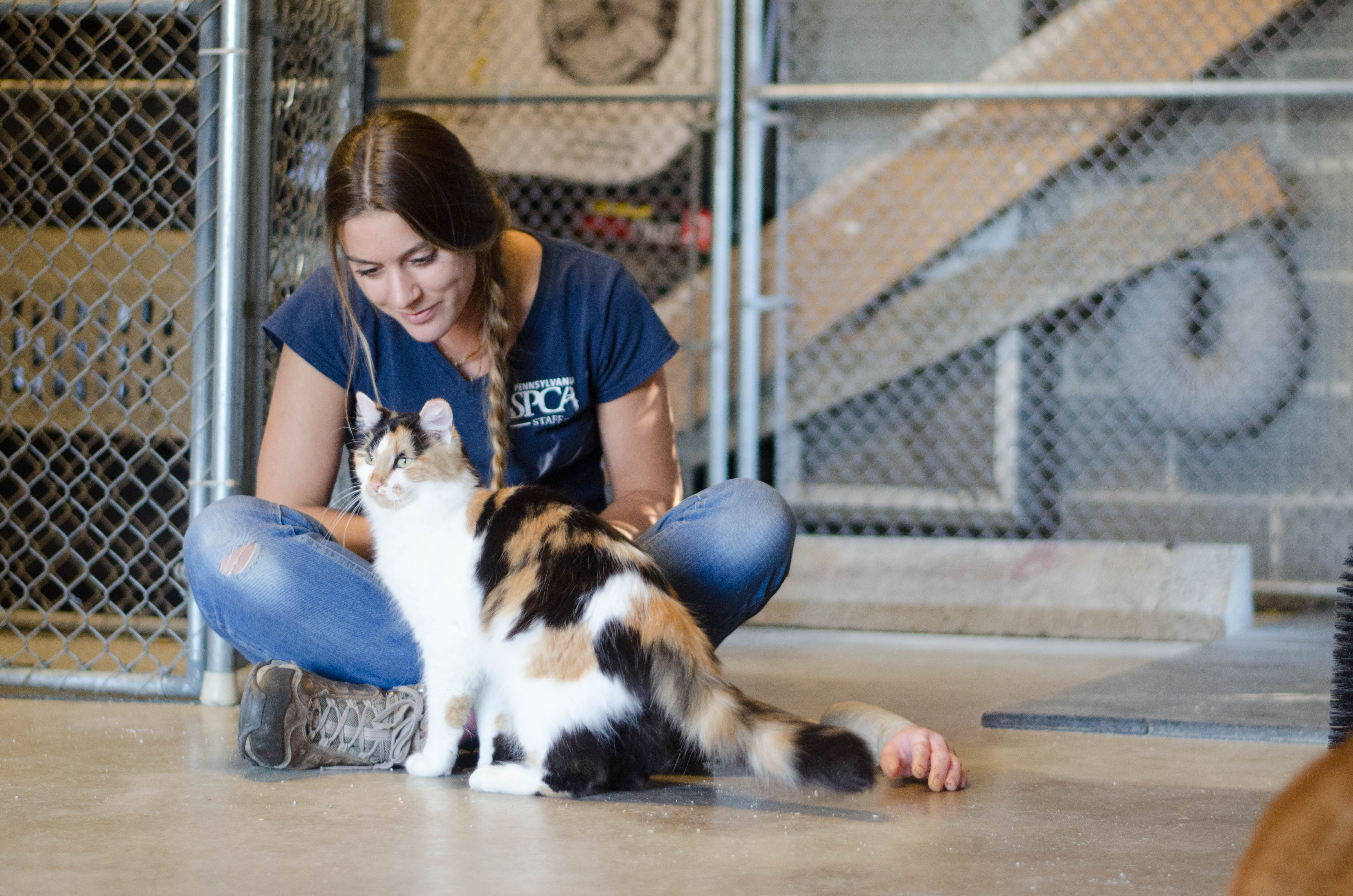 Adopt Pennsylvania Society for the Prevention of Cruelty to Animals