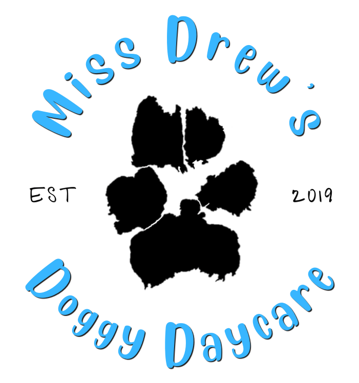 Miss Drew's Doggy Daycare