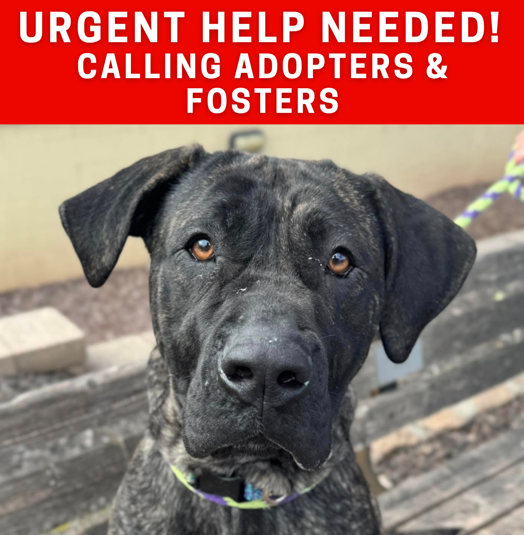 urgent