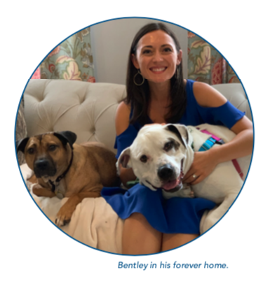 Bentley at Home