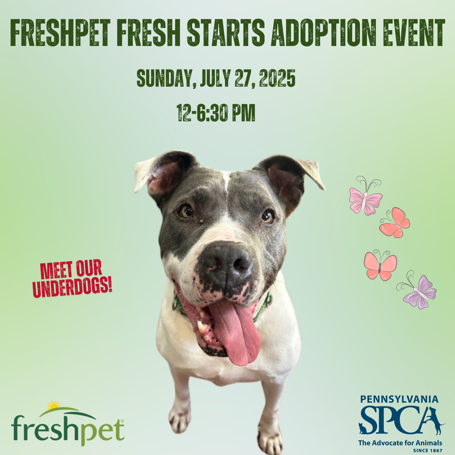 freshpet adoption event