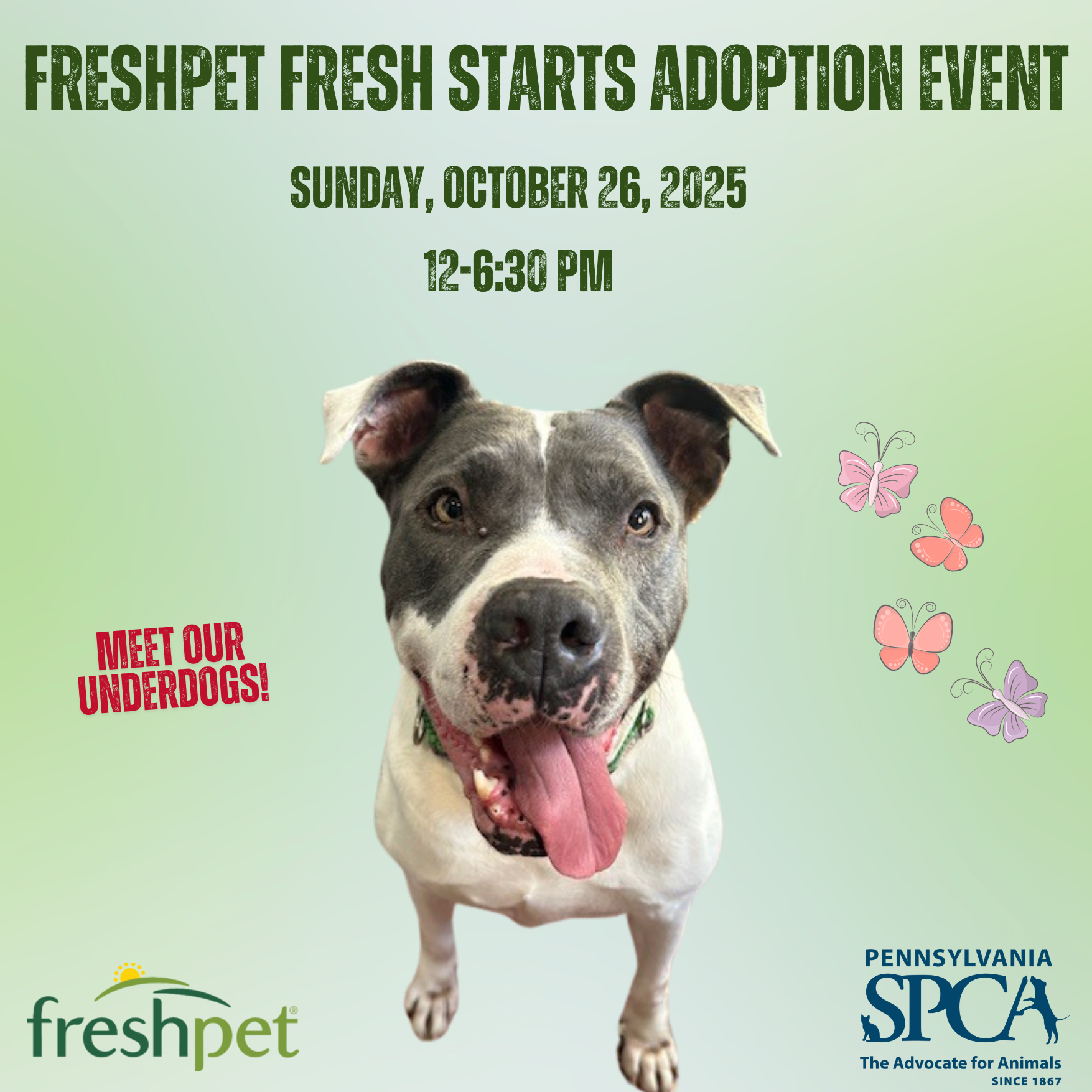 freshpet