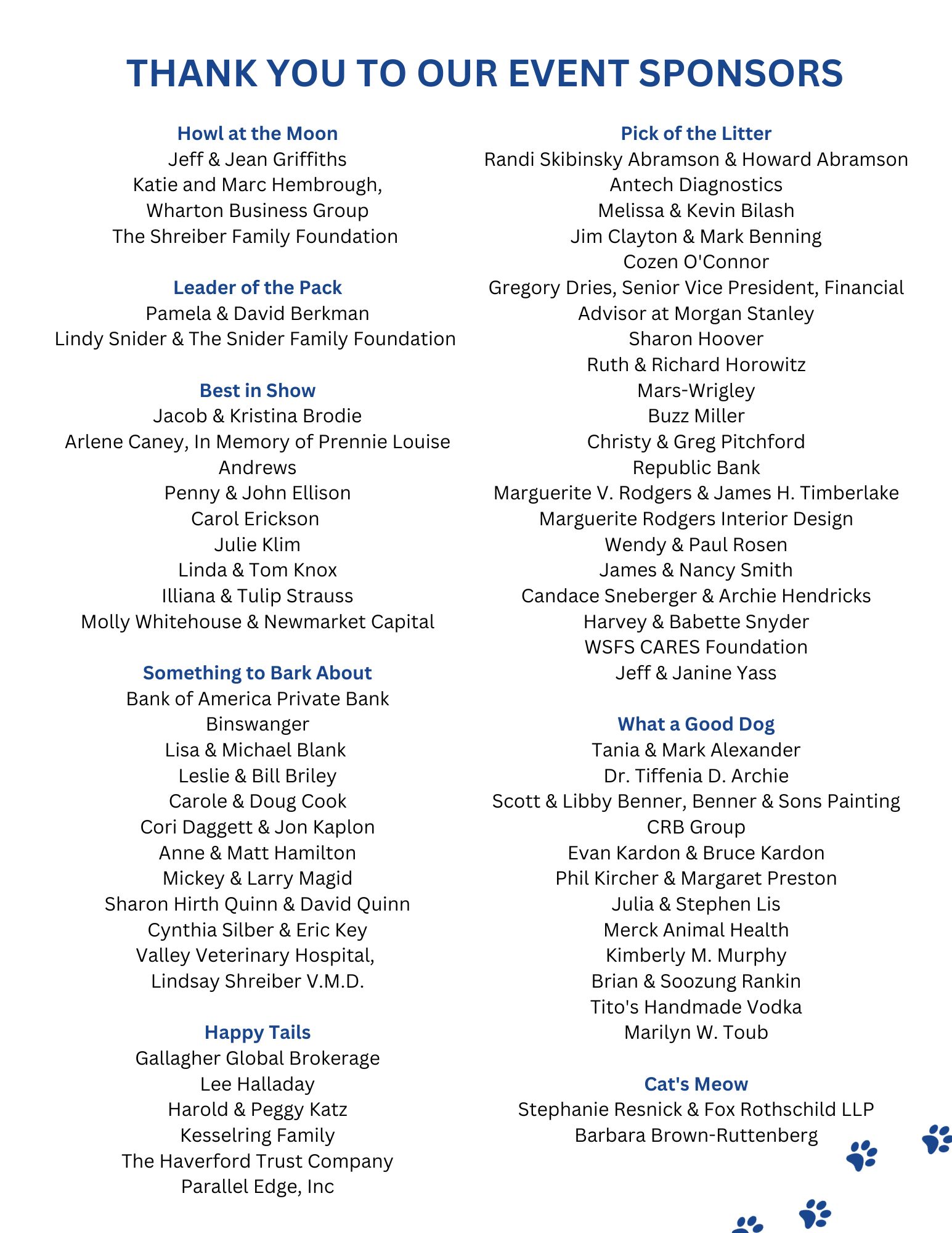 Thank you to our sponsors