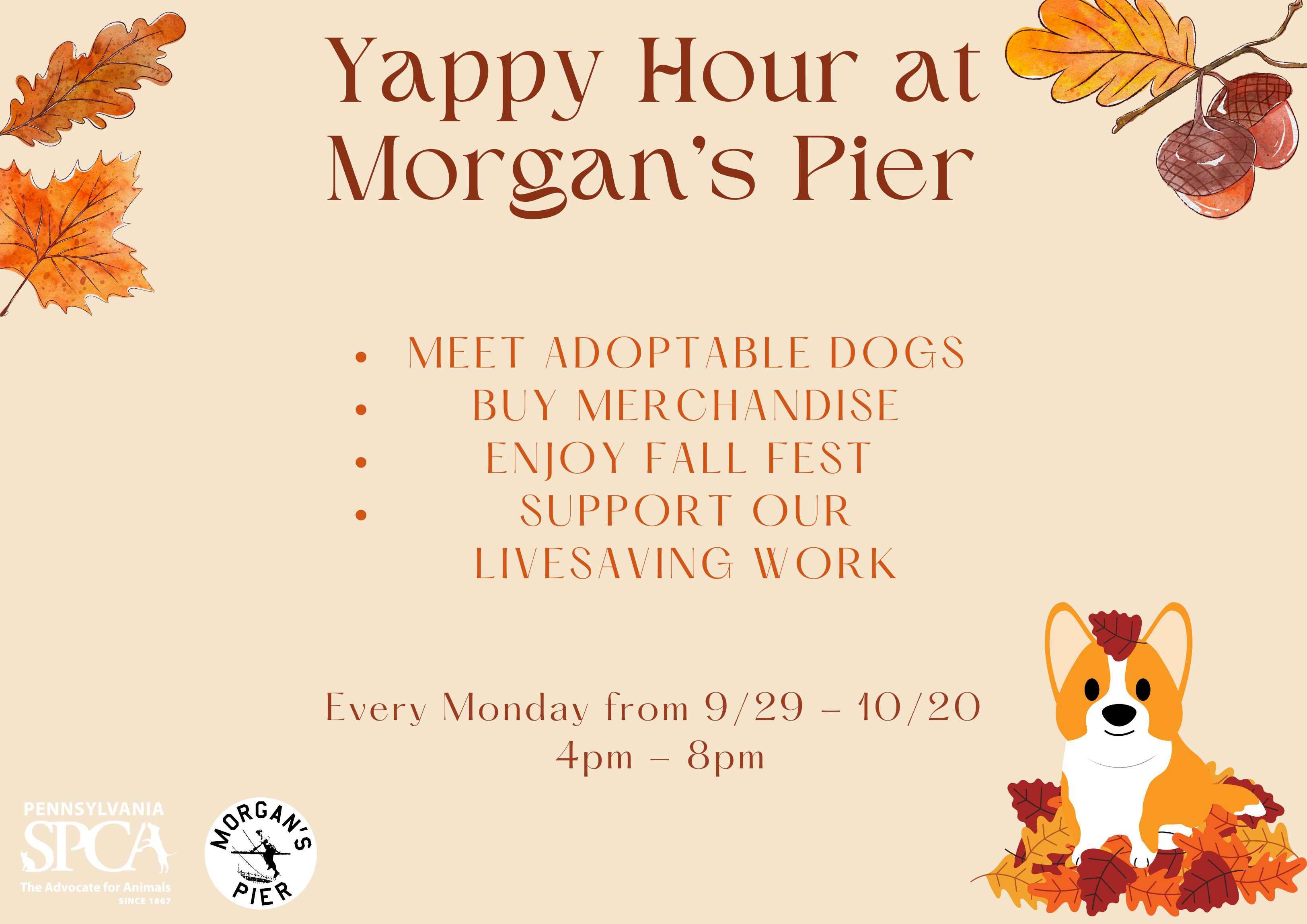 yappy hour