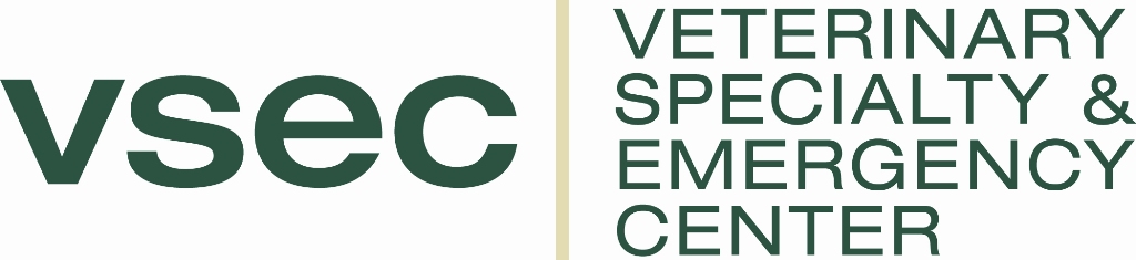 VSEC