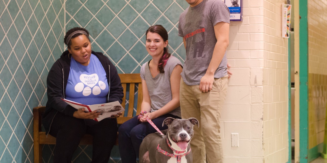 How Much Does The Spca Charge To Adopt A Dog how-much-does-the-spca-charge-to-adopt-a-dog