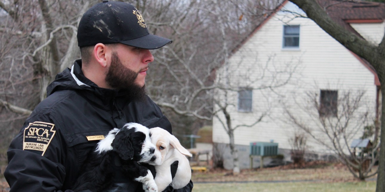 Report Animal Cruelty | Pennsylvania Society for the Prevention of Cruelty to Animals Report Animal Cruelty | Pennsylvania Society for the Prevention of Cruelty to Animals