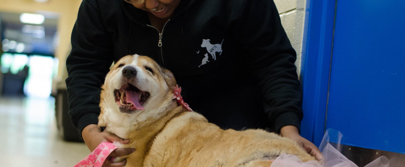 Employee pets a dog on the ground