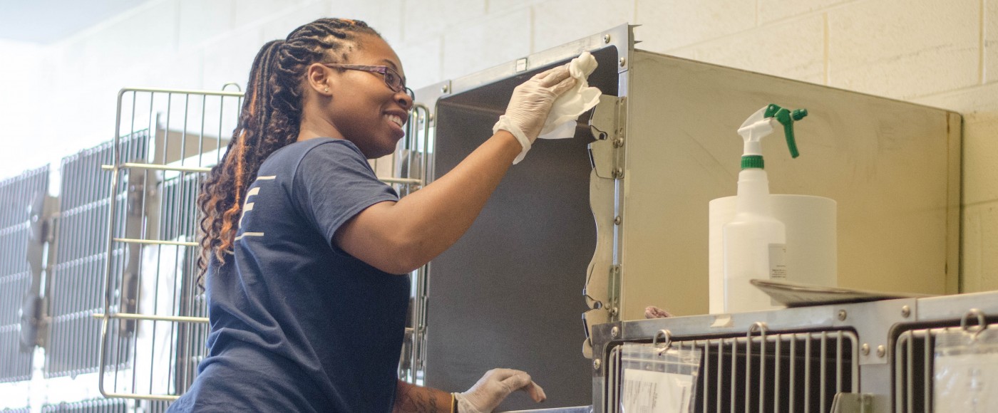 PSPCA employee cleans a cat kennel