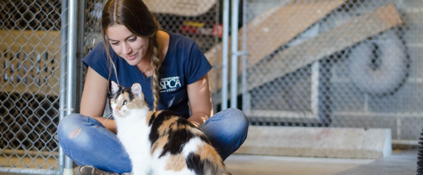 Behavior Coordinator, Kayla, works on socializing our Working Cats