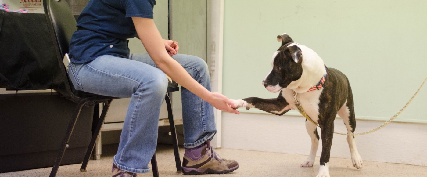 Behavior Coordinator, Vic, works with dog, "Turk," on commands