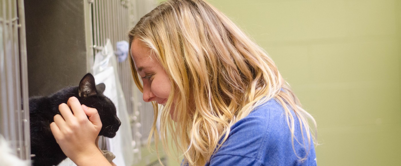 Female intern pets a cat