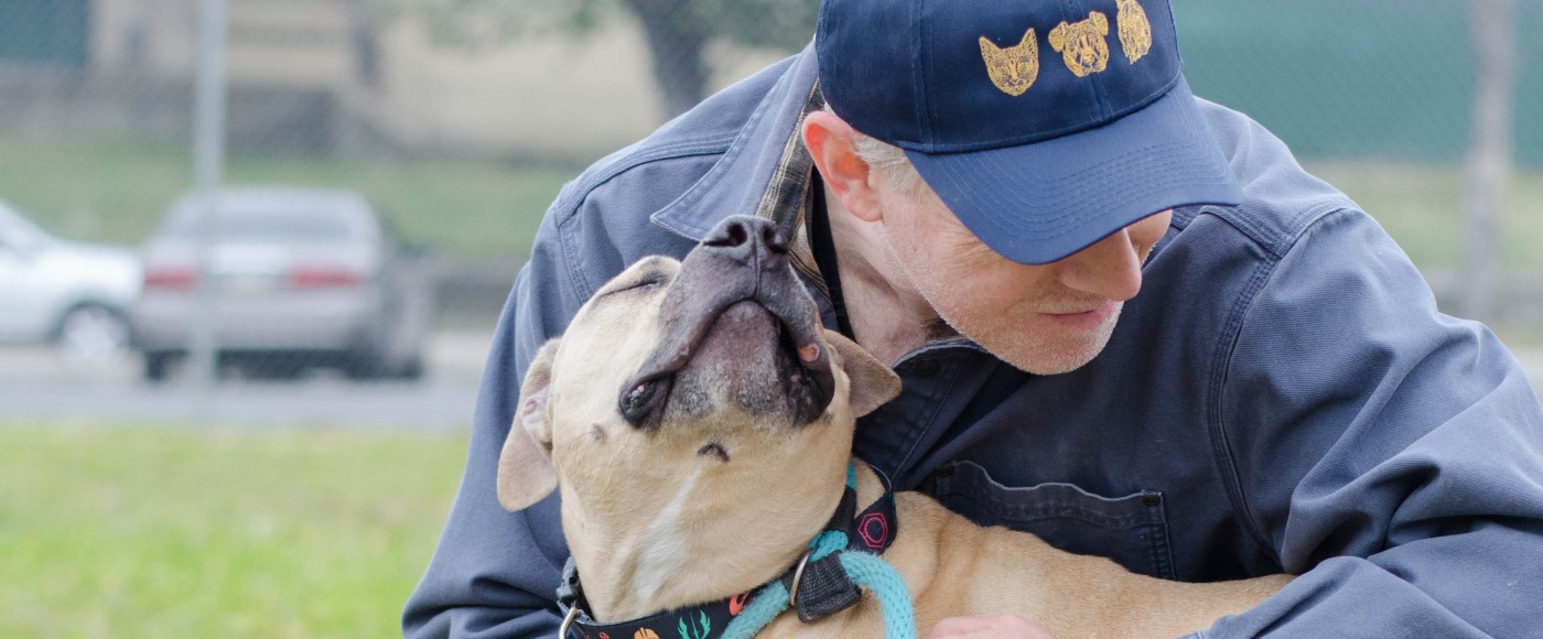 Brown dog snuggles with volunteer