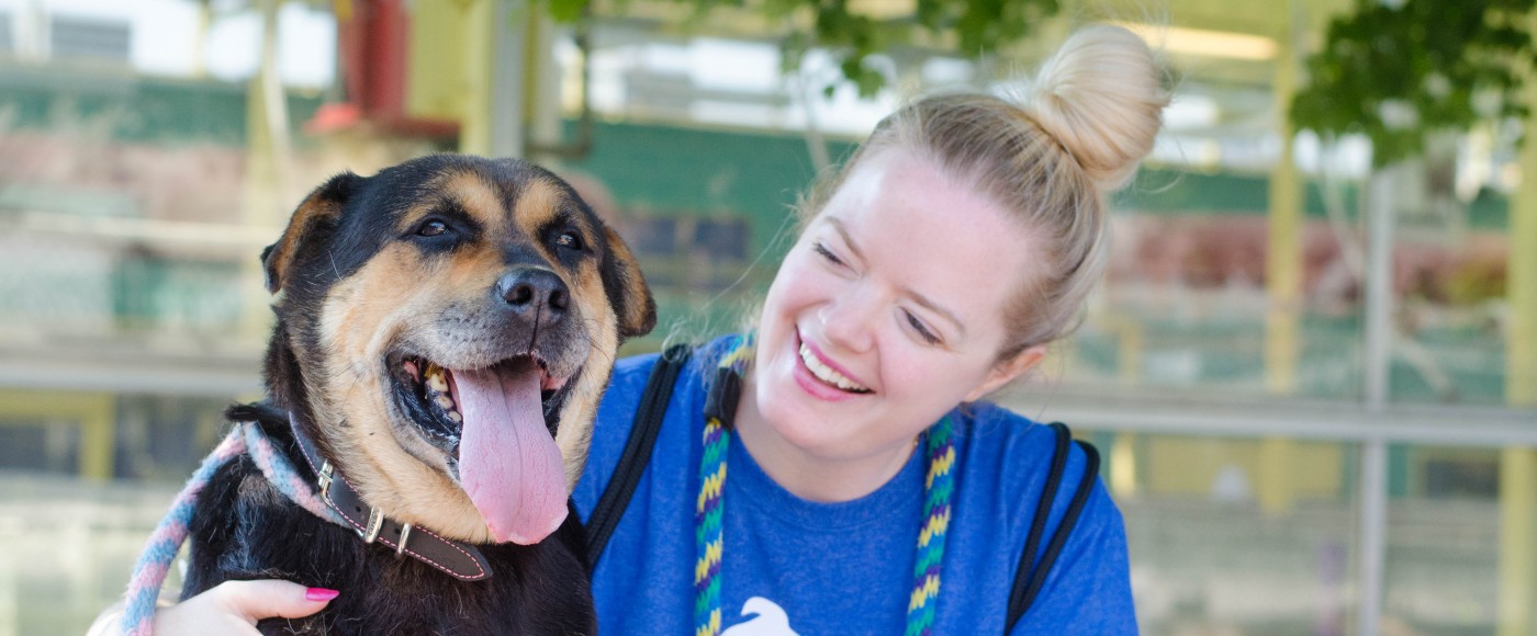 Volunteer sits with an older Shepherd 