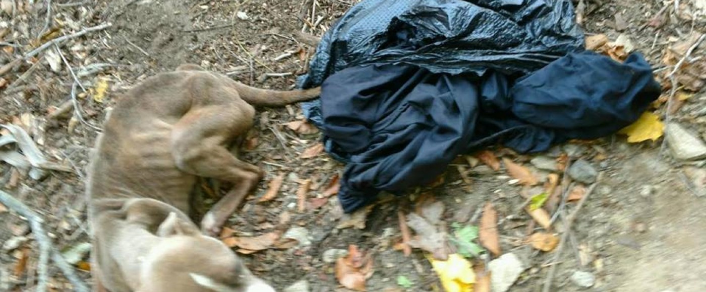 Cranberry when she was found