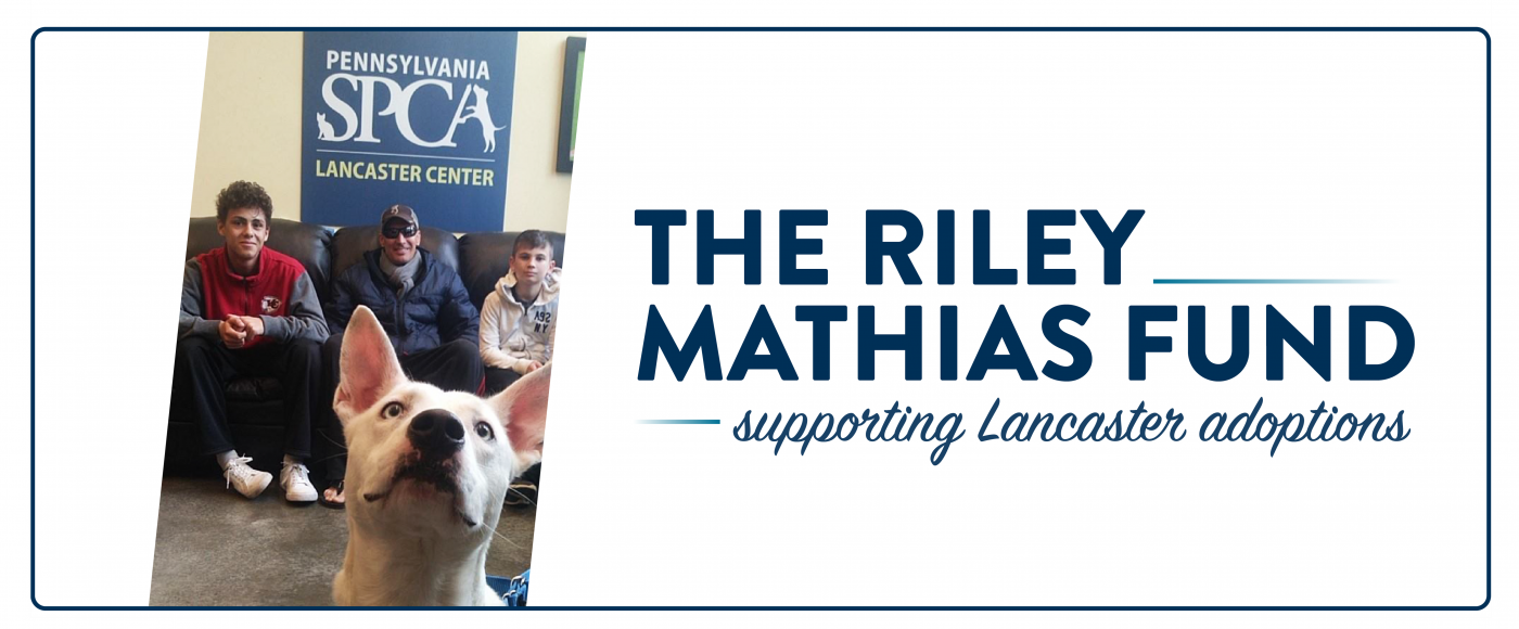 Lancaster Riley Mathias Fund Image