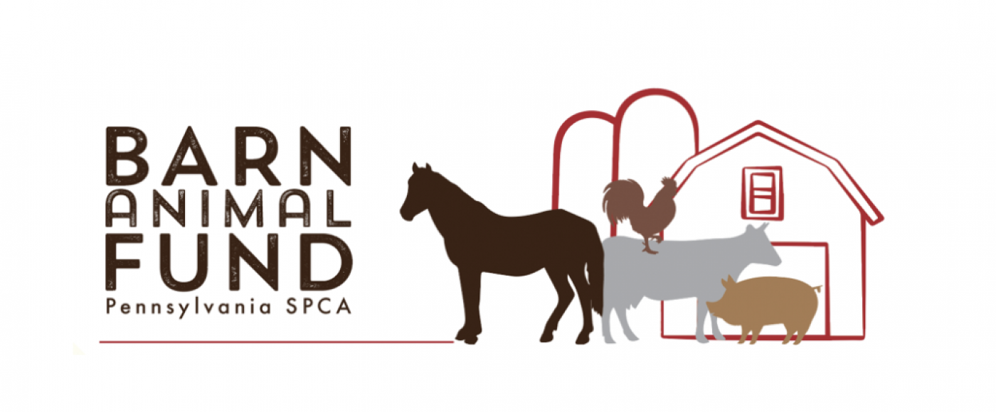 Barn Animal Fund