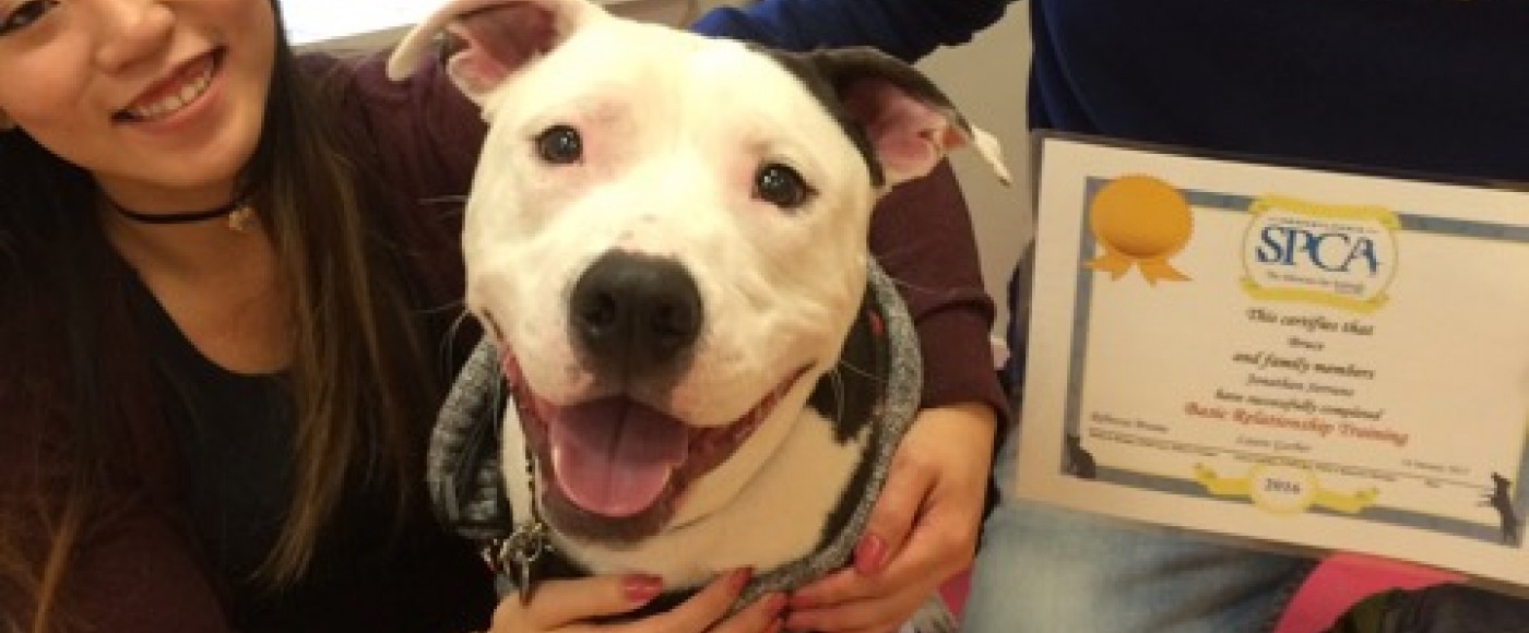 Training Classes | Pennsylvania Society for the Prevention of Cruelty to Animals Training Classes | Pennsylvania Society for the Prevention of Cruelty to Animals