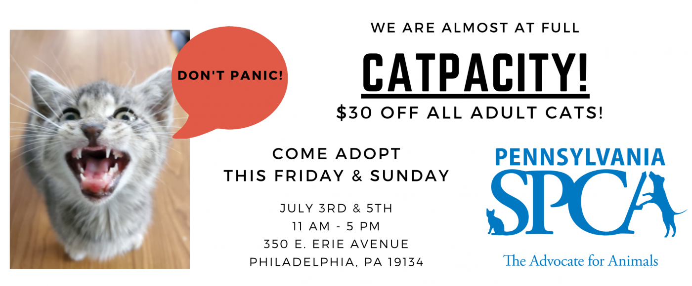 Catpacity Adoption Event Pennsylvania Society For The Prevention