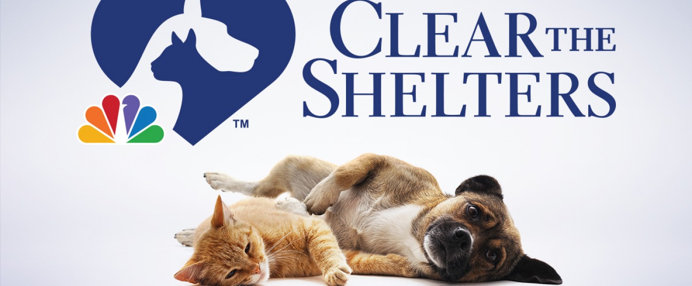 Clear the Shelters 2020 | Pennsylvania 