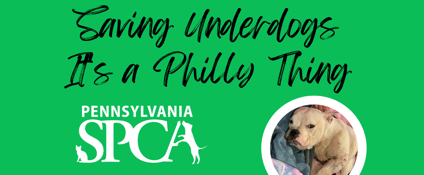 Header image - Saving Underdogs - It's A Philly Thing