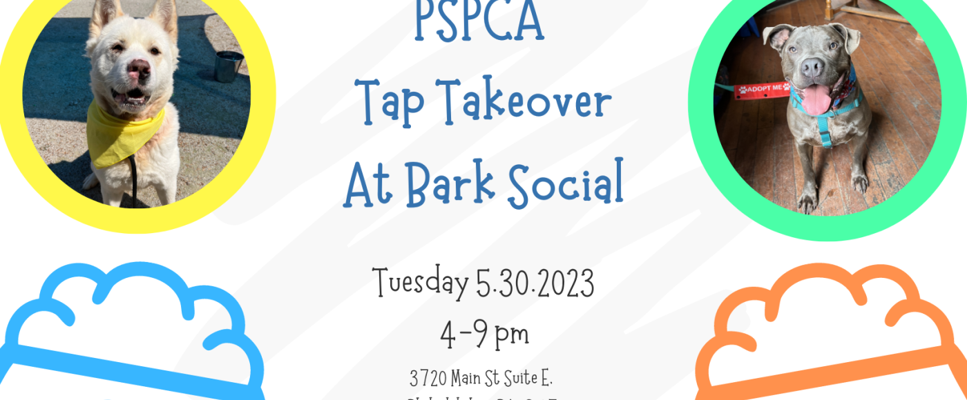 bark social