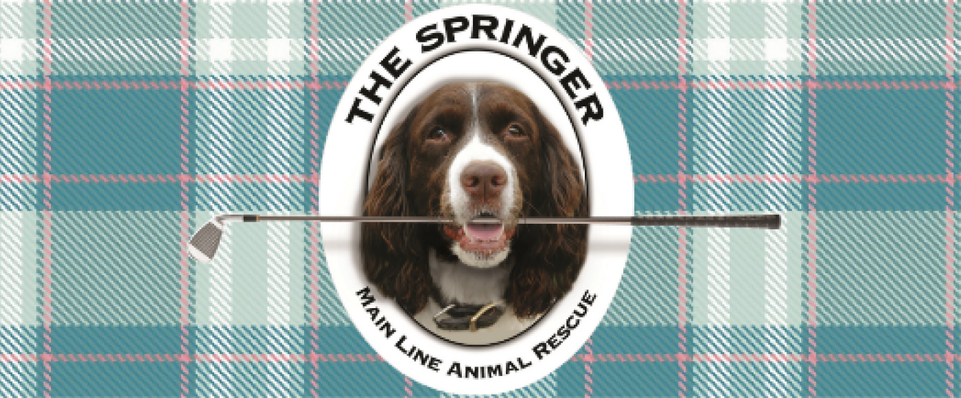 The Springer