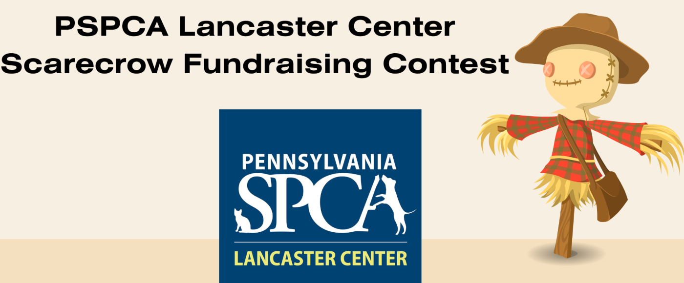 Scarecrow Fundraising Contest