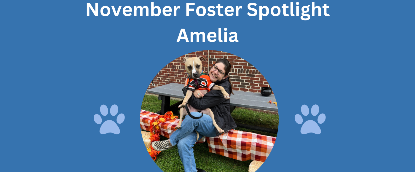 amelia