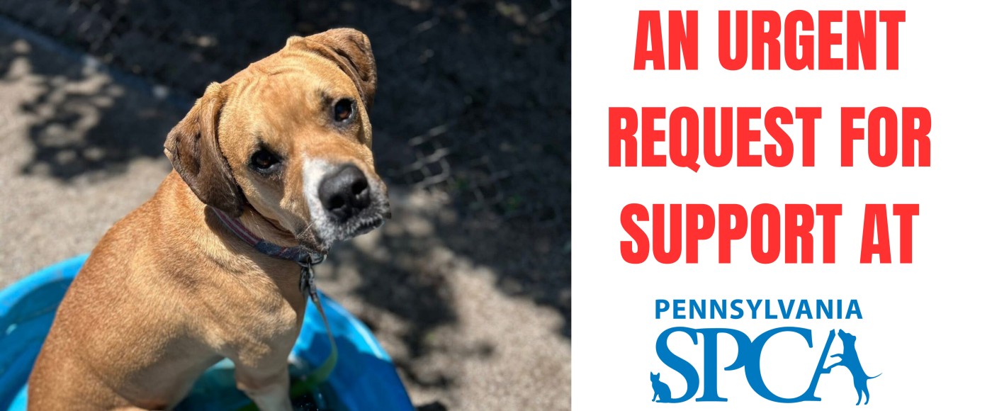 Urgent Request for Support