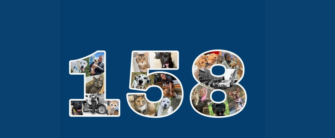 Happy Birthday PSPCA
