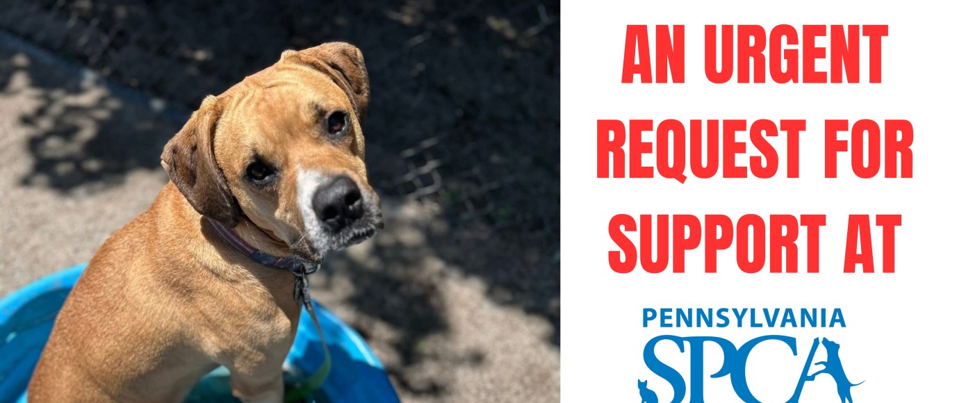 Urgent request for support
