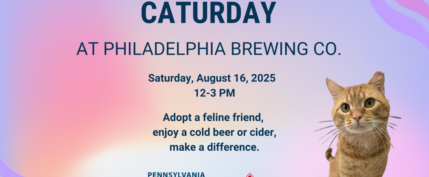 Caturday