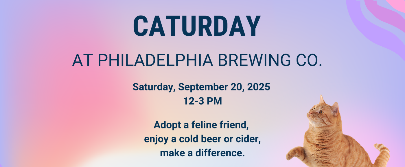 caturday