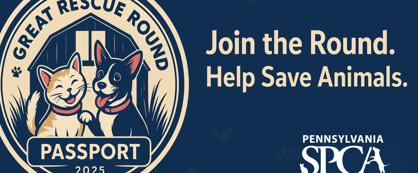 The Great Rescue Round
