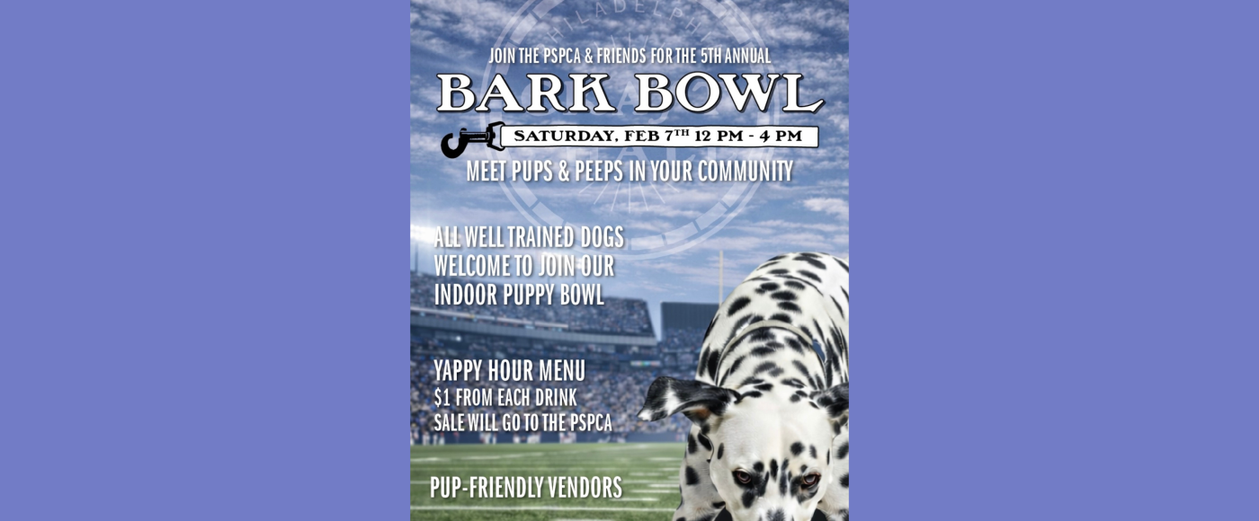 bark bowl