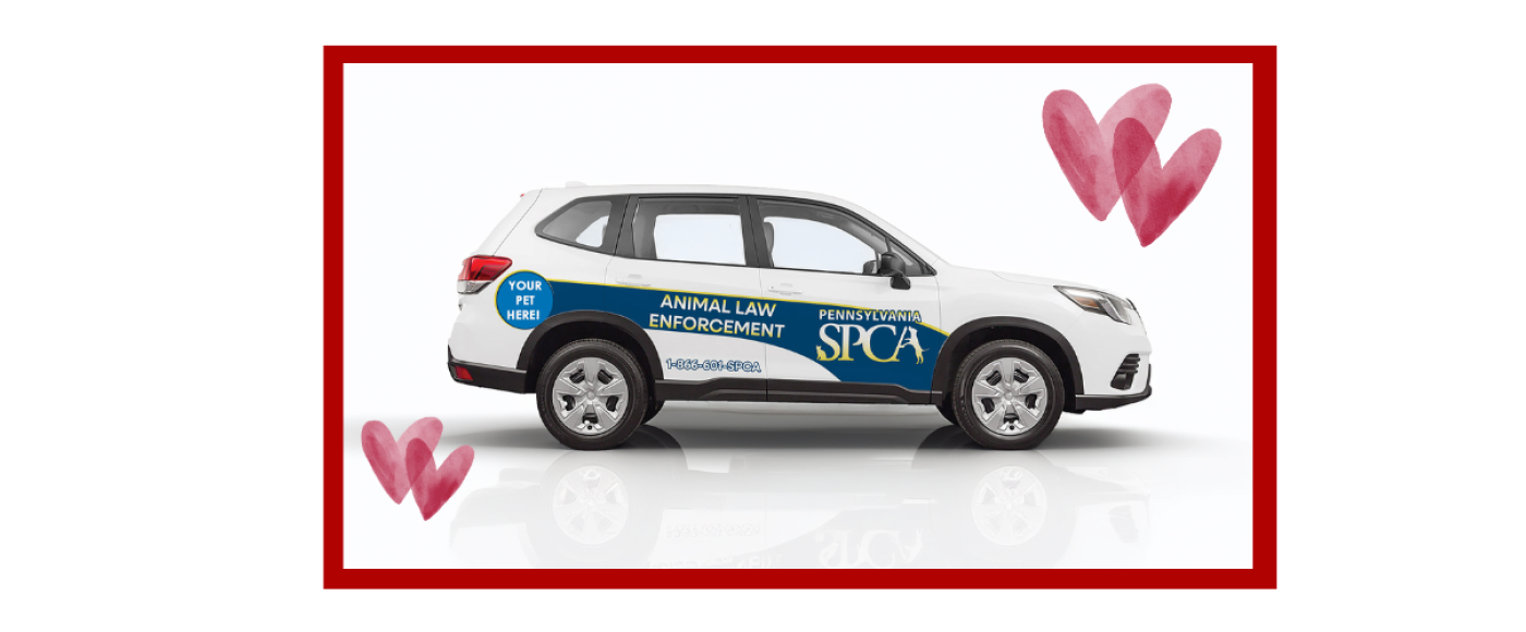 A Subaru Forester with a PSPCA Animal Law Enforcement Wrap, including an open space for the contest winners' animals to be featured.