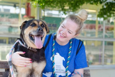 Volunteer sits with an older Shepherd 