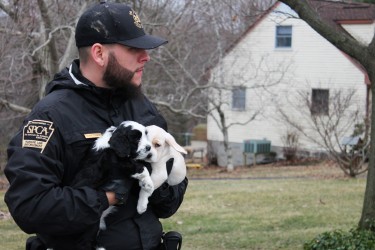 Officer Martinez carries out two puppies from neglect