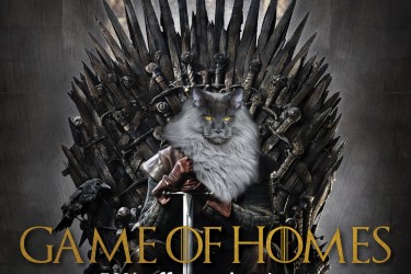 Game of Homes adoption promotion