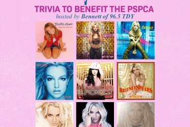 Britney Spears Trivia