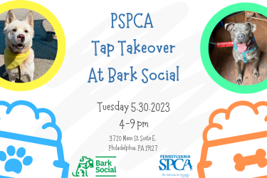 bark social