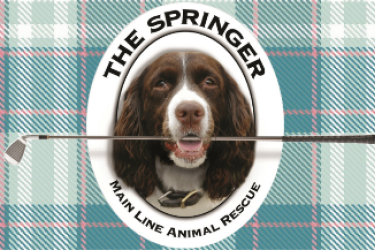 The Springer