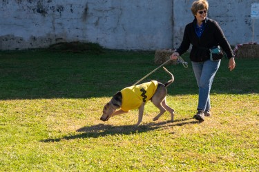 Volunteer Jill