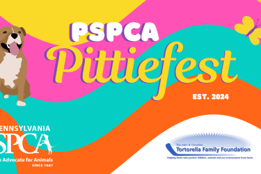 pittiefest adoption event