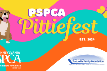 pittiefest