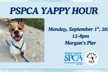 yappy