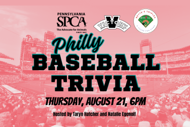 Phillies baseball trivia