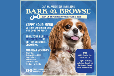 bark and browse