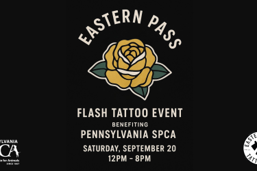 eastern pass
